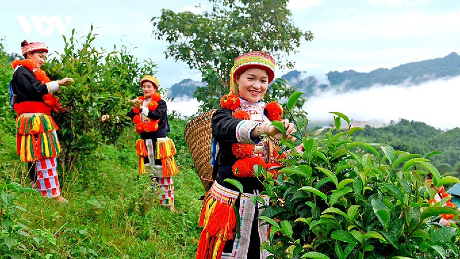 Tuyên Quang mong đón khách du lịch từ TP.HCM