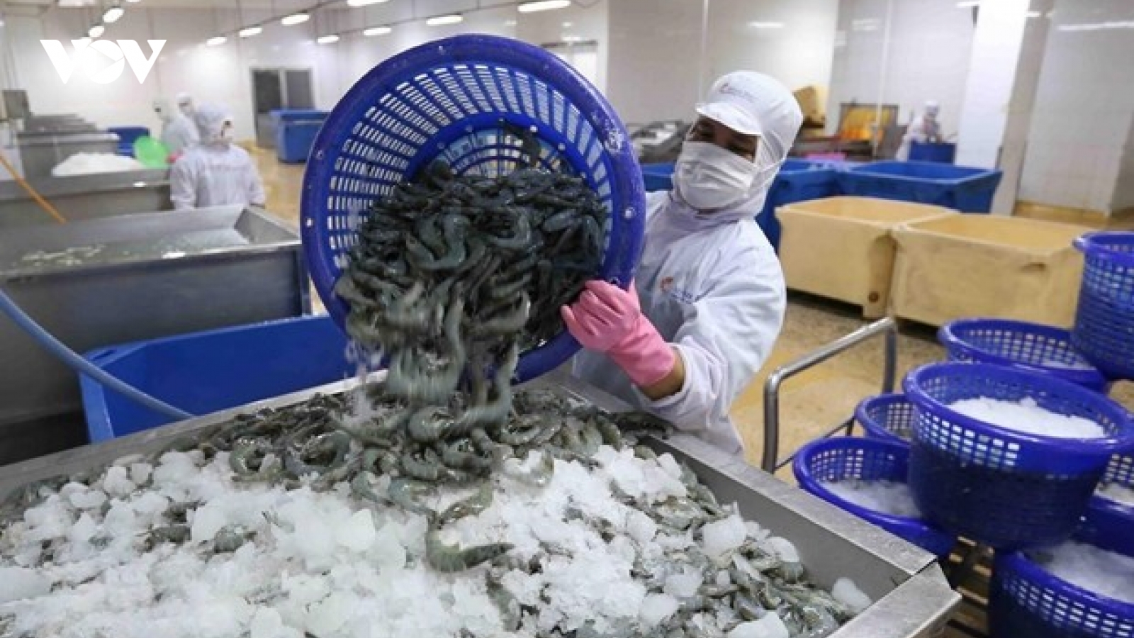 Xuất khẩu tôm trong tháng 4 sẽ tiếp tục tăng
