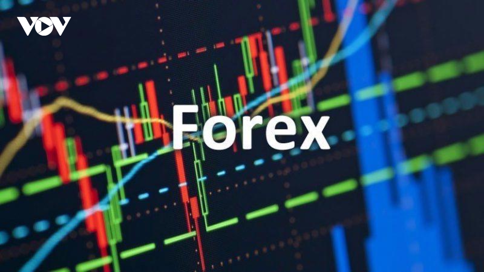 “Đầu tư trên sàn giao dịch Forex là mang tiền cho kẻ lừa đảo”