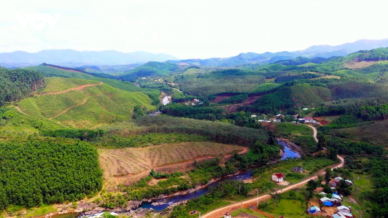 Tây Quảng Nam phát triển kinh tế từ rừng gỗ lớn và nông nghiệp công nghệ cao