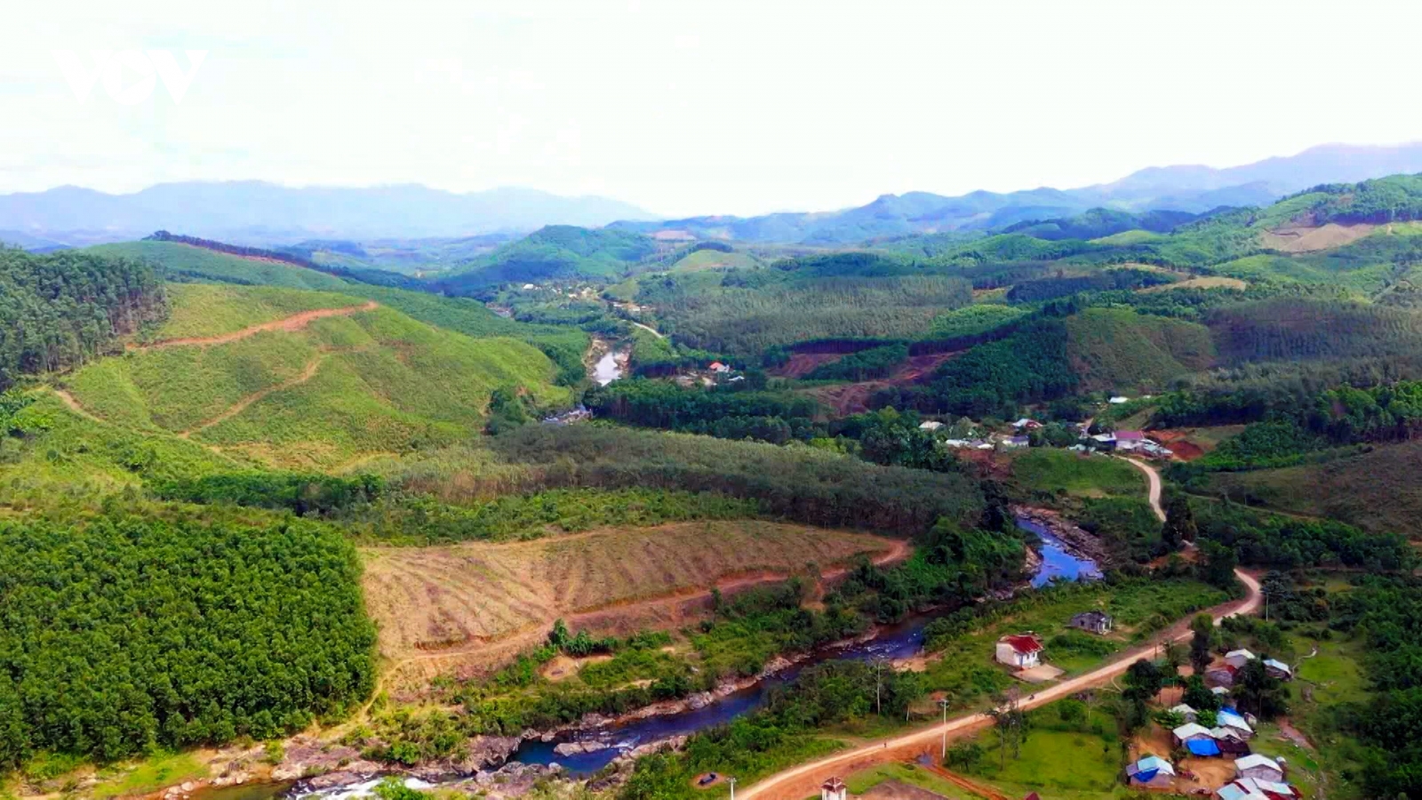 Tây Quảng Nam phát triển kinh tế từ rừng gỗ lớn và nông nghiệp công nghệ cao