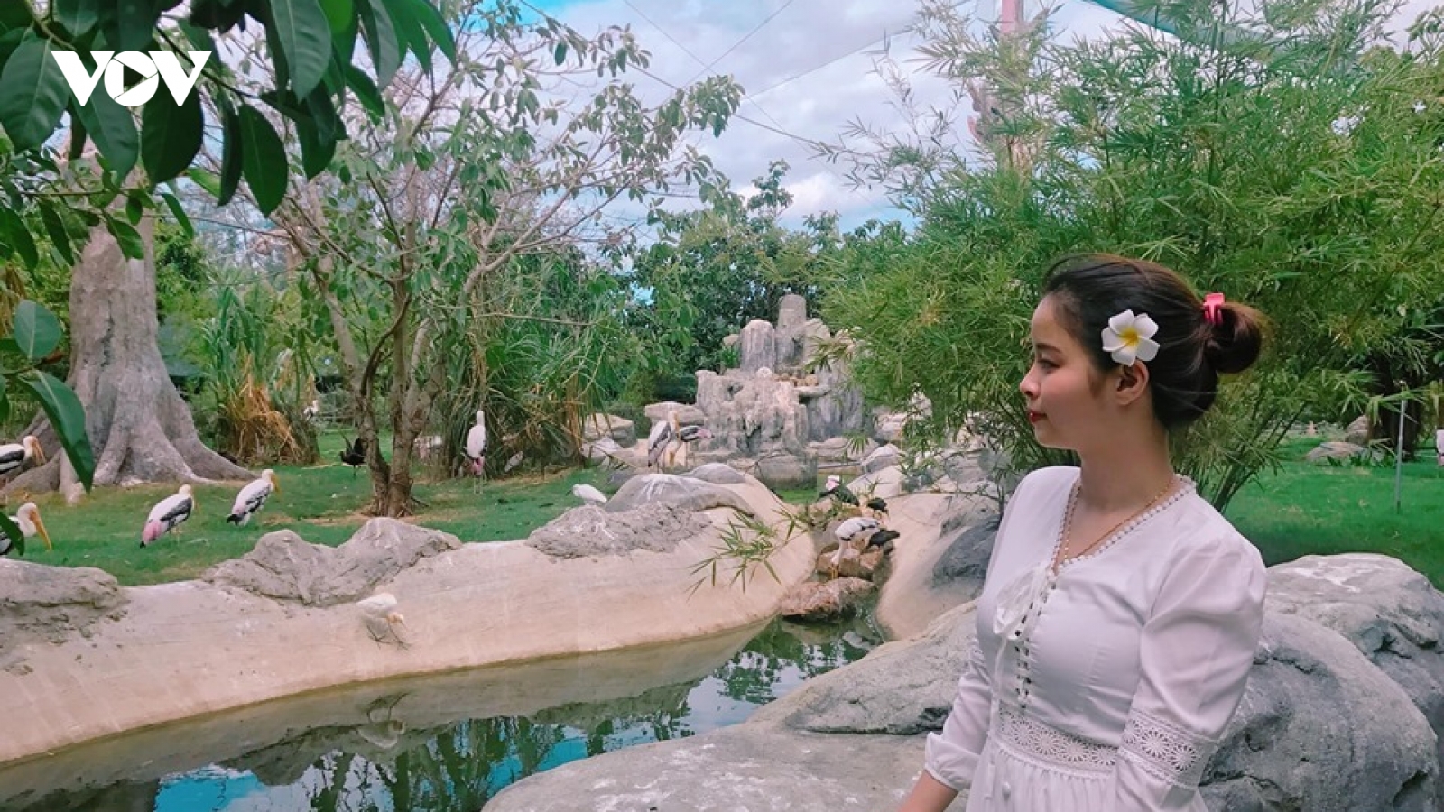 Đến Bình Định săn loạt ảnh check – in độc lạ tại FLC Zoo Safari Park Quy Nhon
