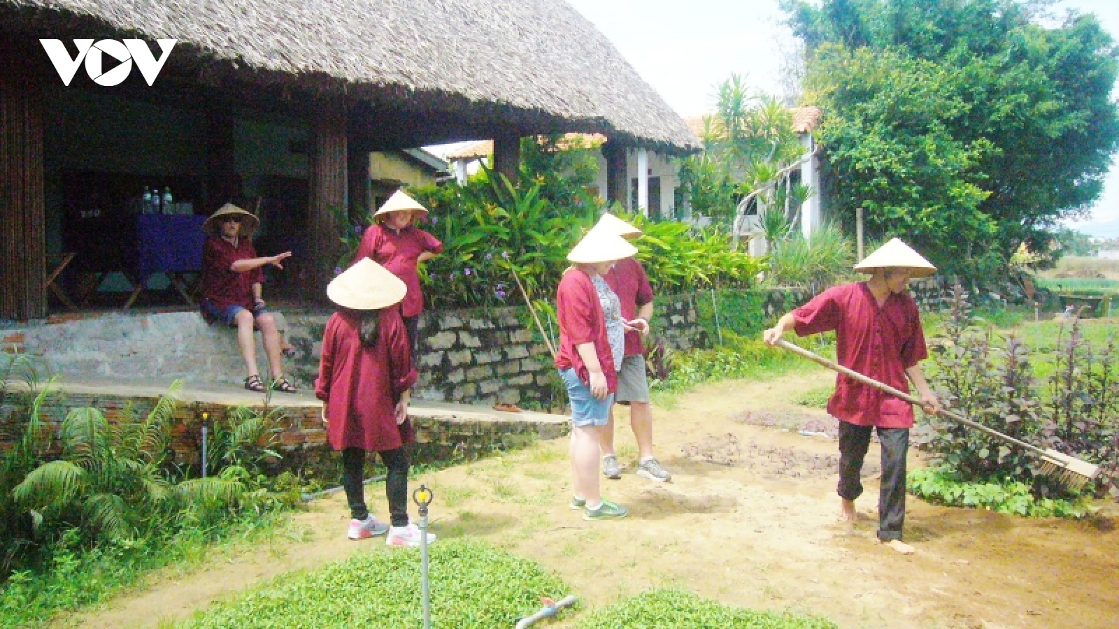 Nghề trồng rau Trà Quế tại Hội An được công nhận Di sản Văn hóa phi vật thể quốc gia