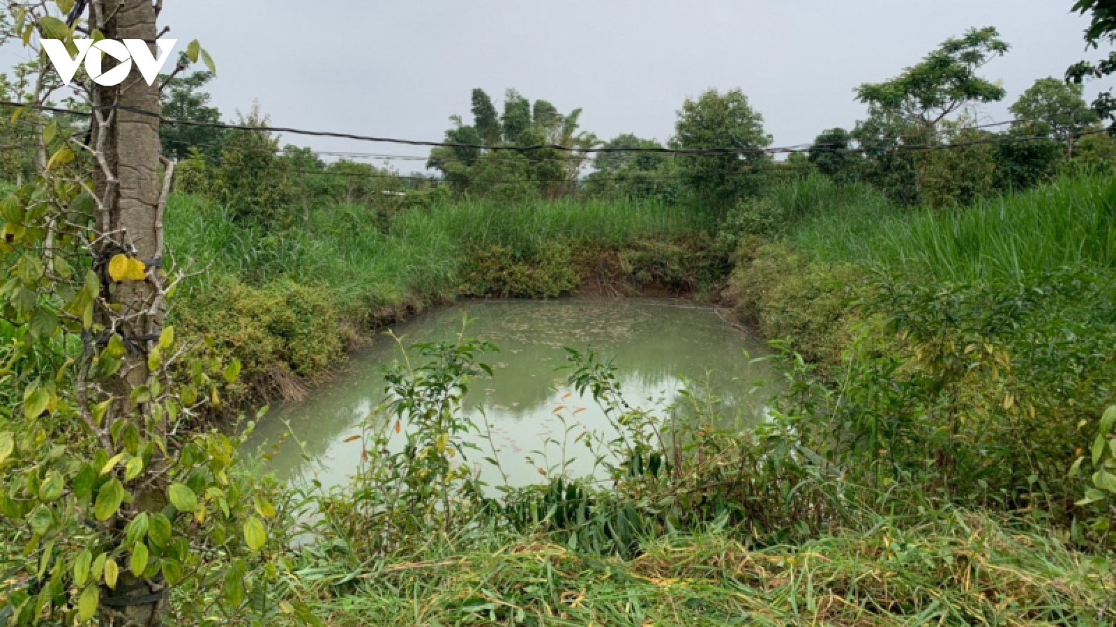 Liên tiếp xảy ra các vụ đuối nước tại Đắk Lắk khiến 10 học sinh tử vong 