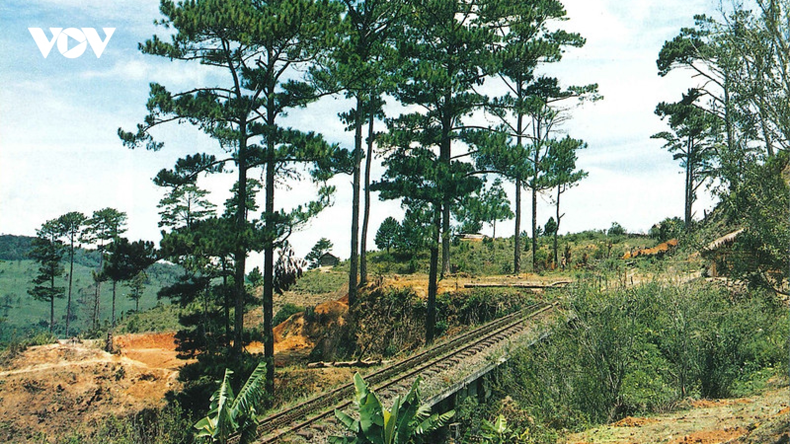 Phục hồi tuyến đường sắt răng cưa huyền thoại Phan Rang – Đà Lạt