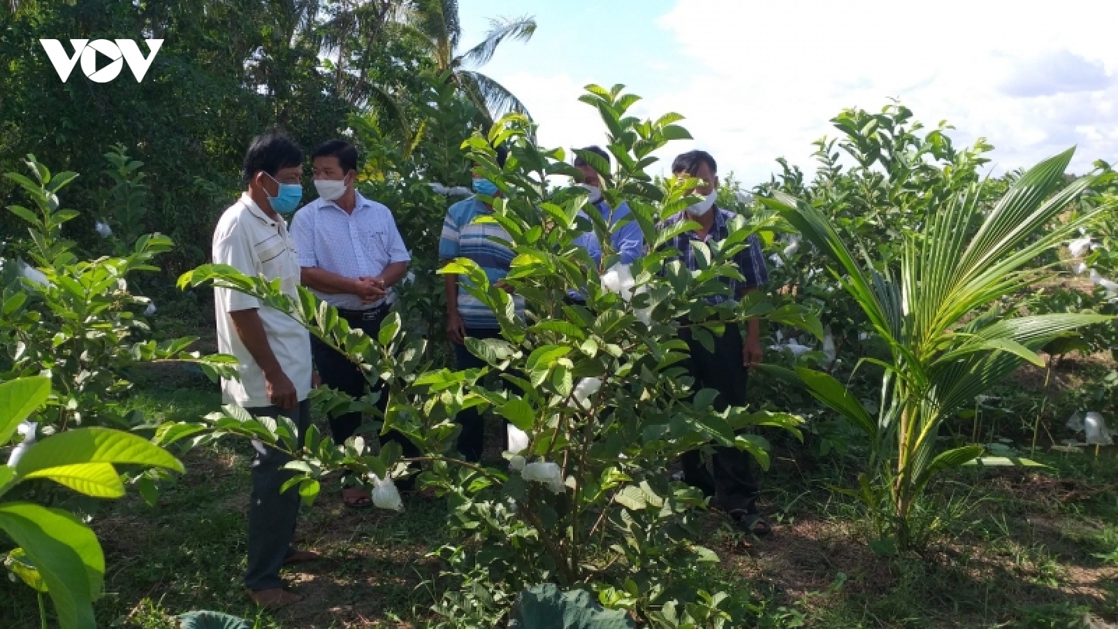 Kinh tế đi lên, đồng bào Khmer đón Chôl Chnăm Thmây vui tươi, phấn khởi
