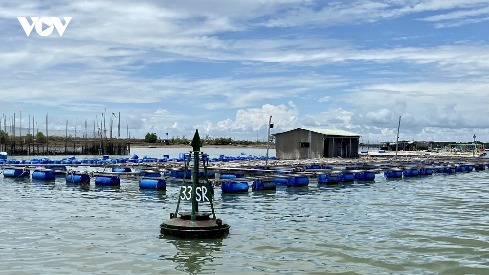 Vũng Tàu kiên quyết di dời, cưỡng chế lồng bè nuôi cá ngoài vùng quy hoạch