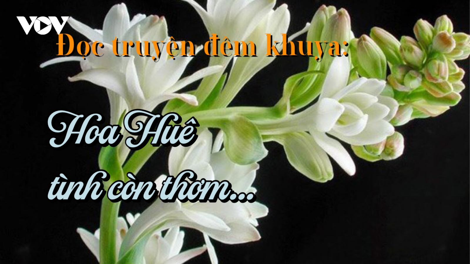 Truyện ngắn “Hoa Huê tình còn thơm…” – Giấc mơ có thật của người nghệ sỹ