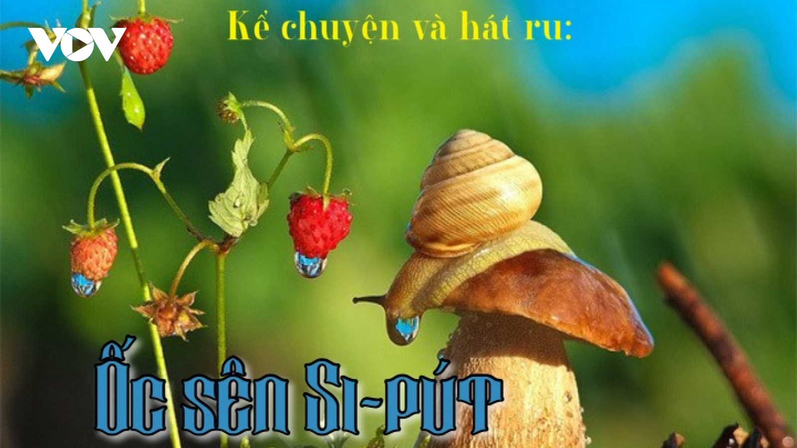 Truyện "Ốc sên Si-pút"