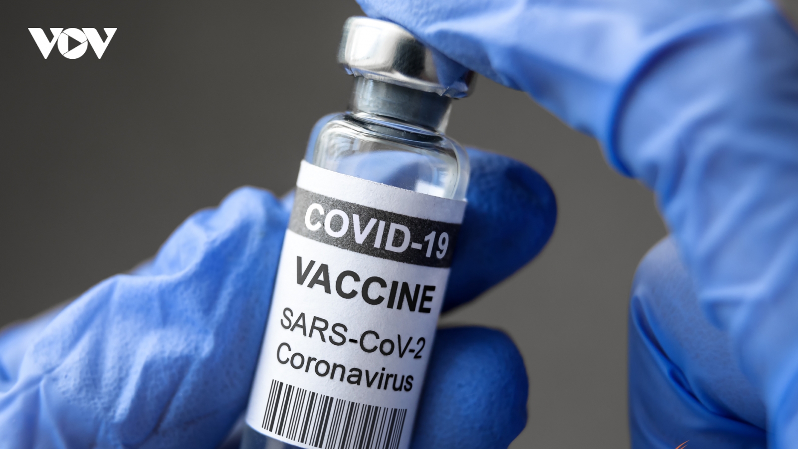 Thái Lan duyệt ngân sách nghiên cứu vaccine Covid-19 gốc thực vật đầu tiên