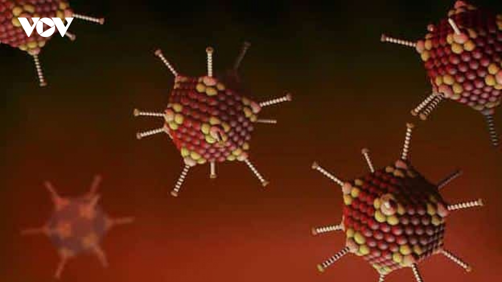 Nghiên cứu của Mỹ: Virus có thể là nguyên nhân gây bệnh viêm gan bí ẩn ở trẻ em