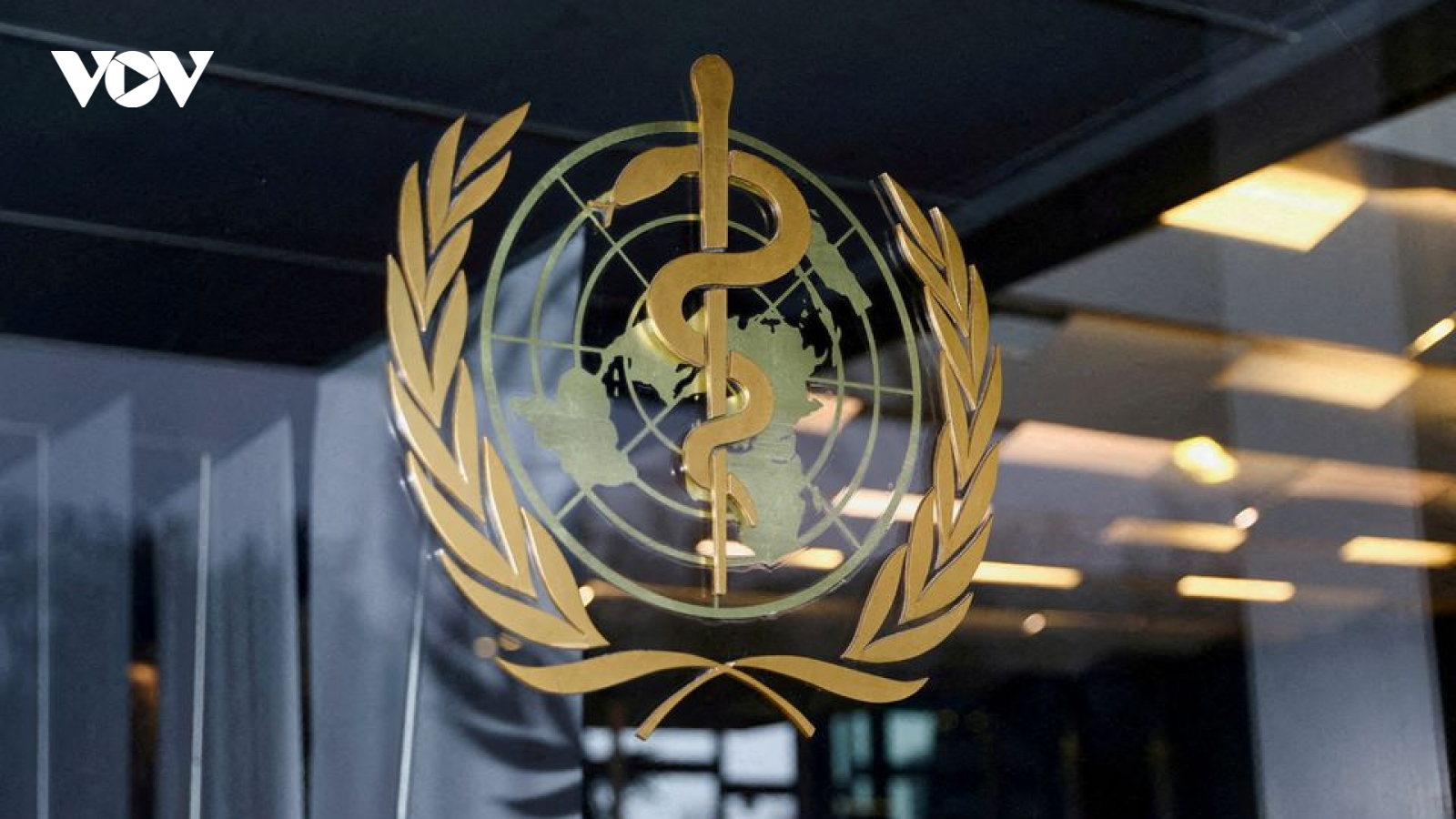 Bất chấp chiến sự, WHO cung cấp hàng nghìn liều thuốc điều trị HIV cho Ukraine