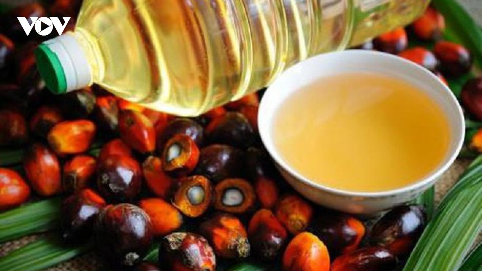 Lệnh cấm xuất khẩu dầu cọ của Indonesia tác động 2 mặt