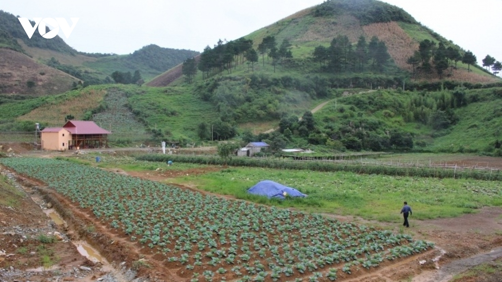 "Con đường nông sản Sơn La": Những điểm đến và trải nghiệm thú vị