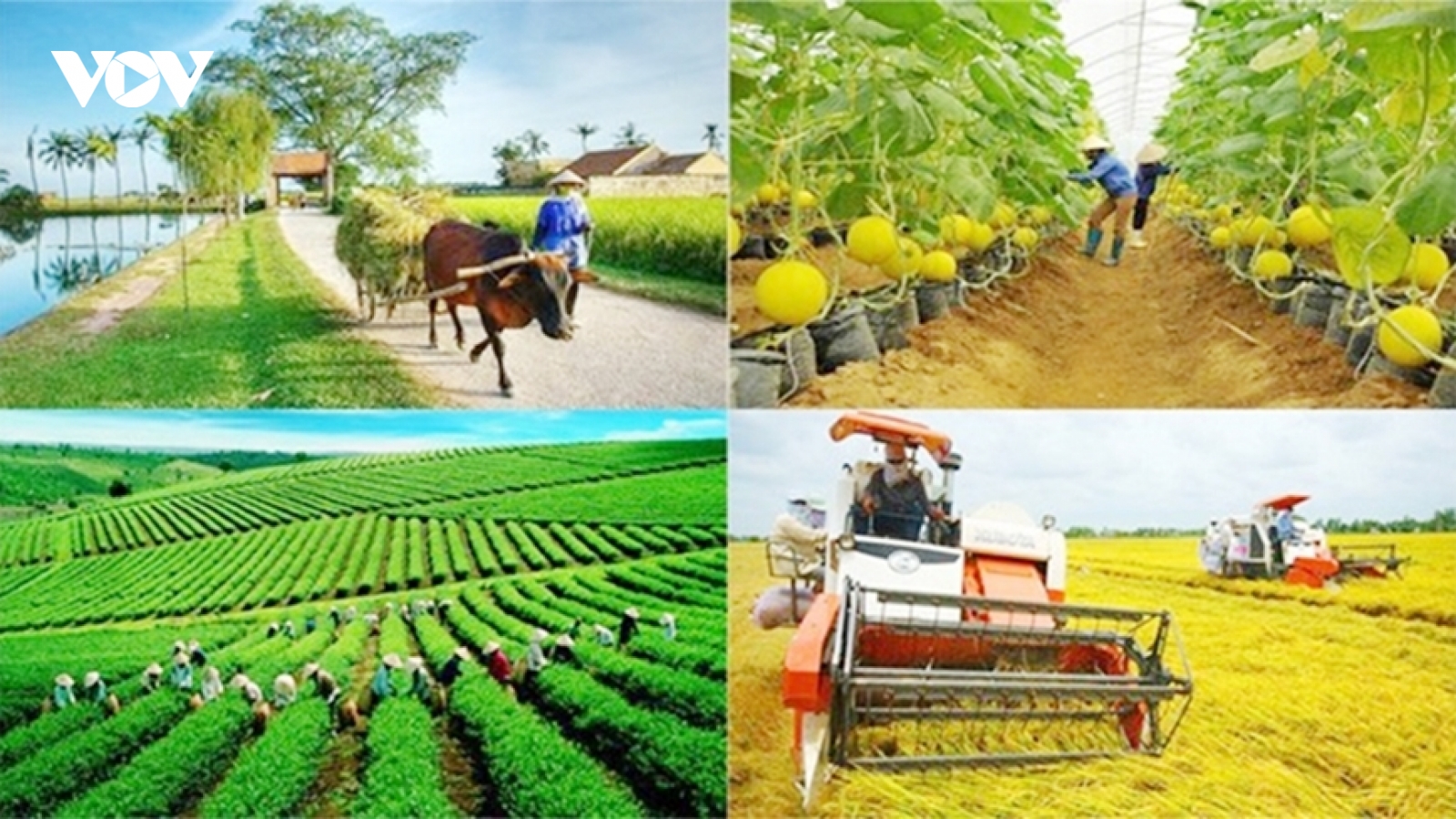 Giao kế hoạch vốn cho các địa phương thực hiện 3 chương trình mục tiêu quốc gia
