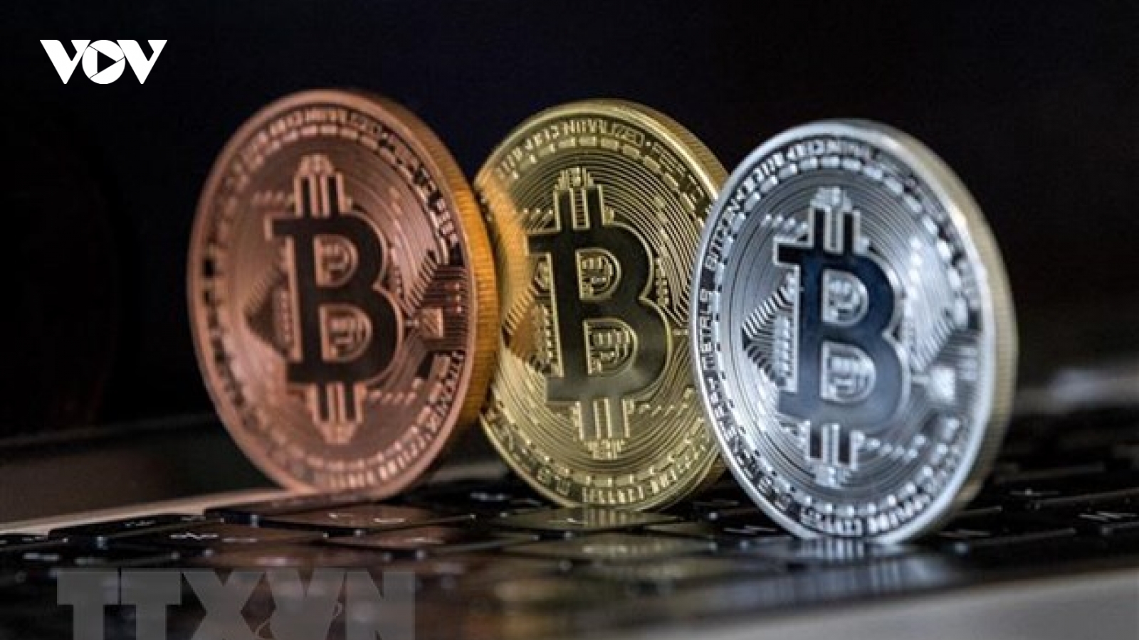 Nhà đầu tư đổ tiền bắt đáy Bitcoin
