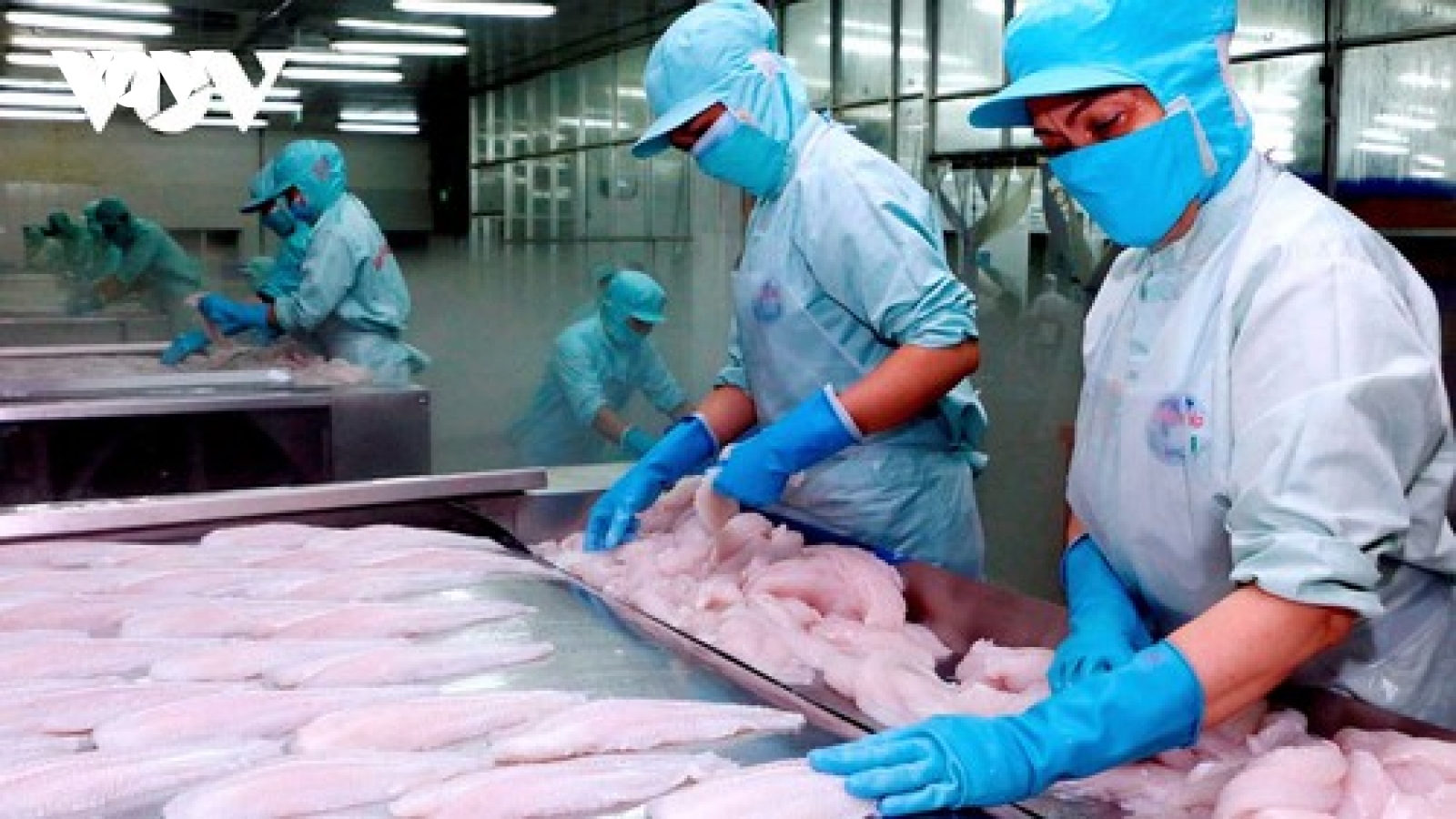 5 tháng đầu năm 2022, xuất khẩu thuỷ sản tăng hơn 44,5% so với cùng kỳ năm ngoái