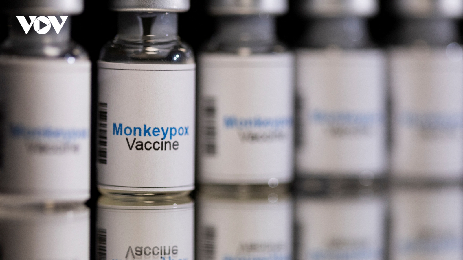 Phần Lan xác nhận ca lây nhiễm đậu mùa khỉ đầu tiên - EU xúc tiến mua vaccine