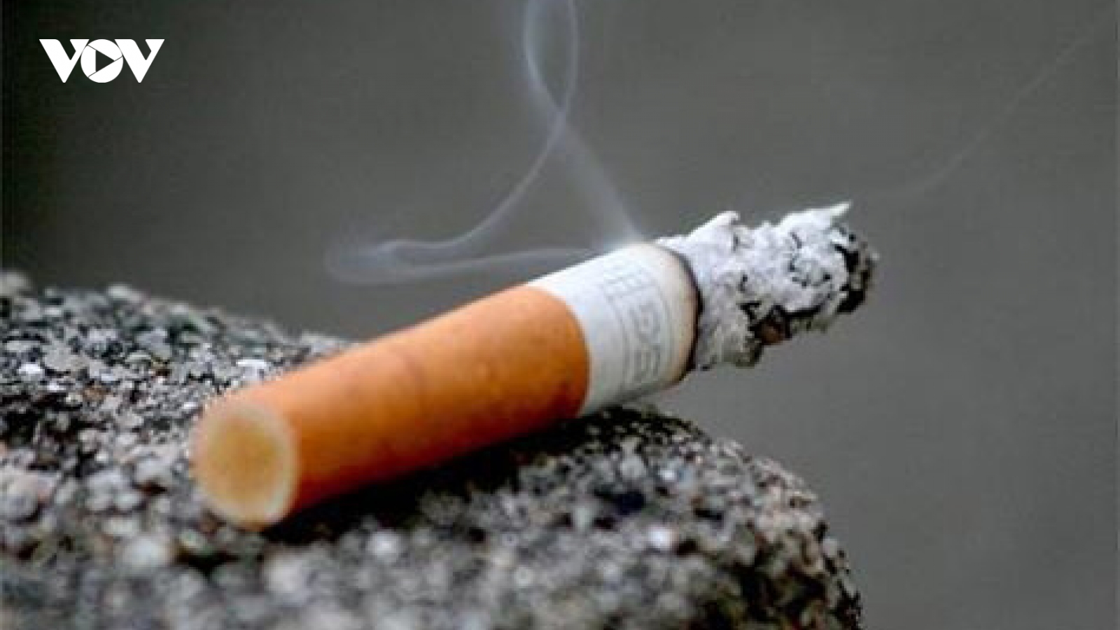World No Tobacco Day 2022 observed in Vietnam