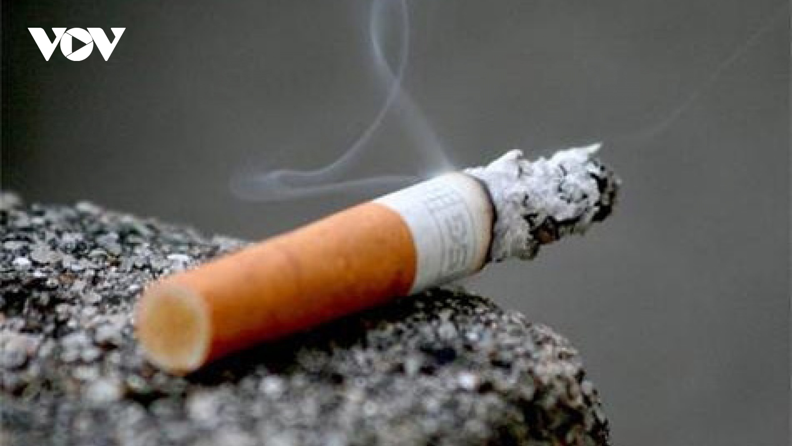 World No Tobacco Day 2022 observed in Vietnam
