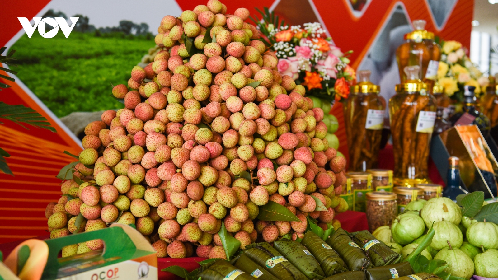 Bắc Giang sẵn sàng đáp ứng tiêu chuẩn đưa trái vải thiều vào thị trường khó tính