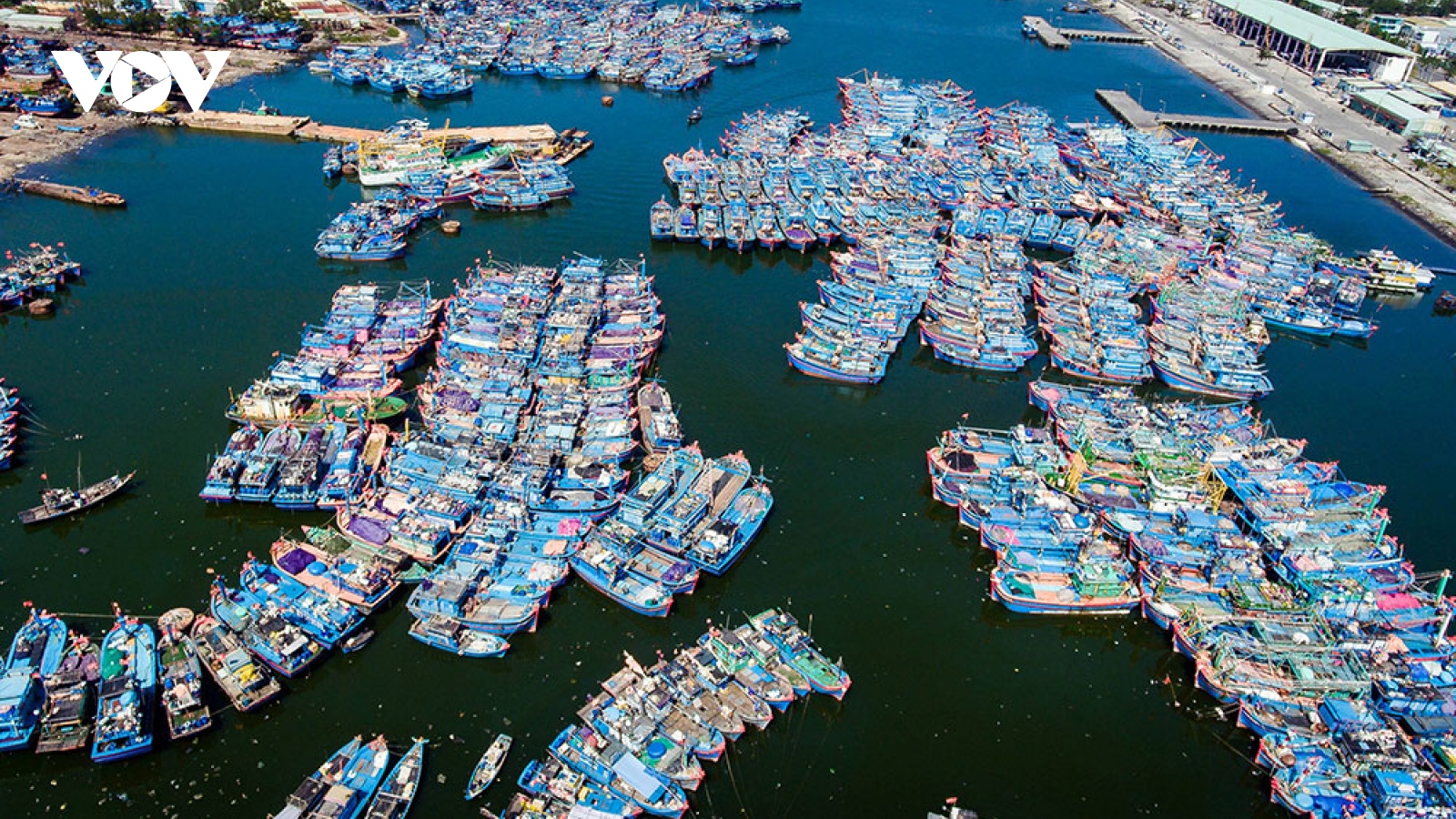 Năm 2050 có 184 cảng cá, 160 khu neo đậu tránh trú bão cho tàu cá