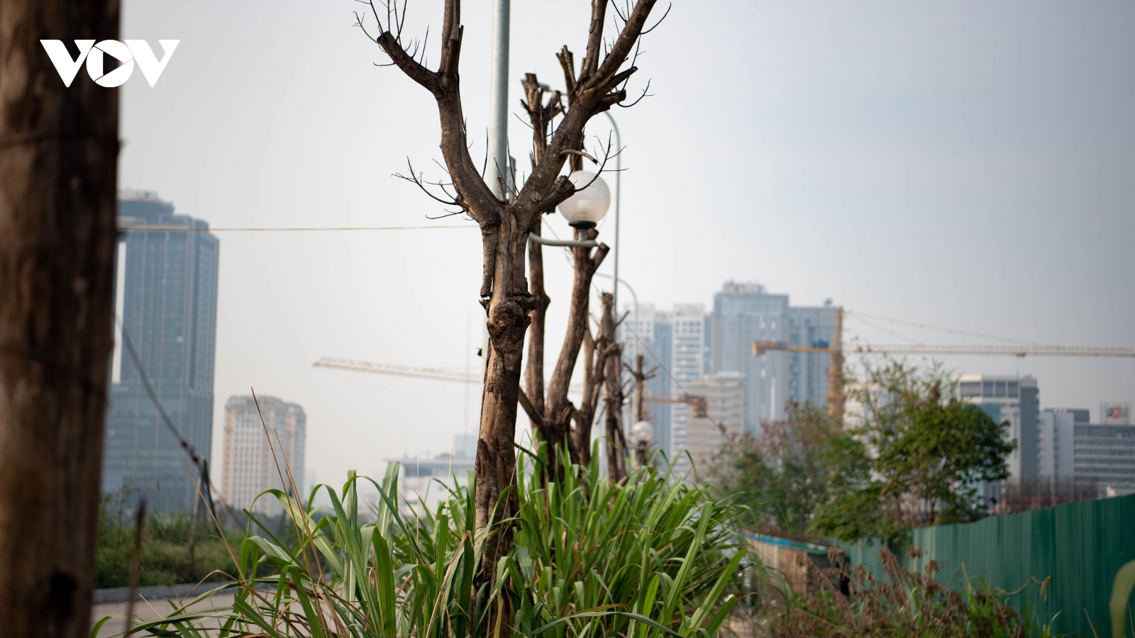Công viên hồ điều hòa ở Hà Nội chậm tiến độ, cây xanh chết hàng loạt