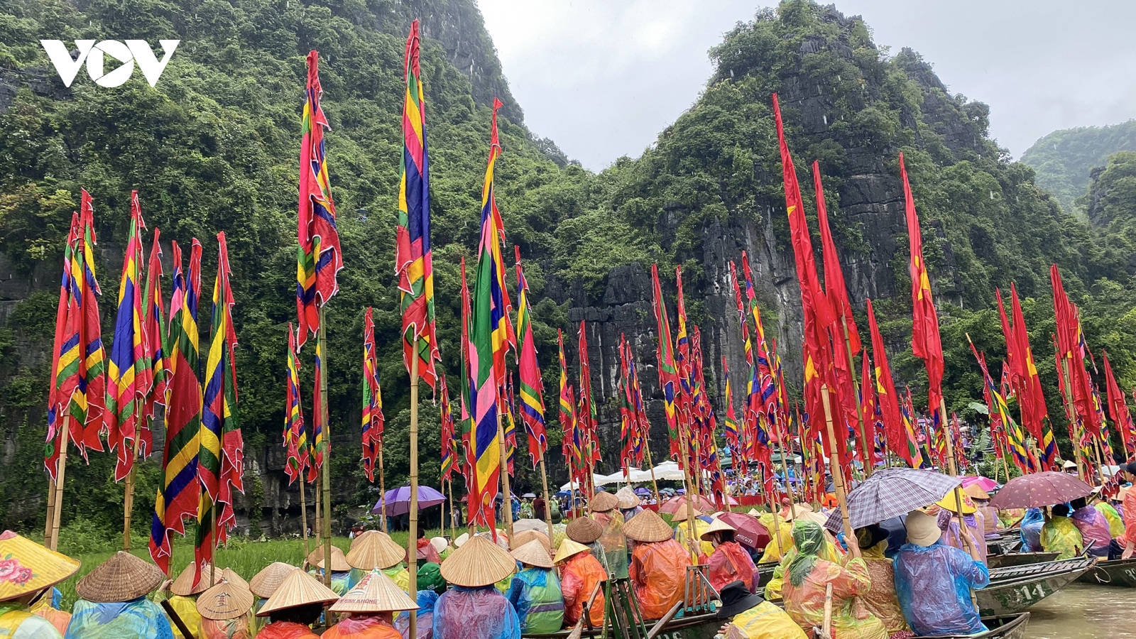 Hàng nghìn du khách đội mưa ngắm lúa trong ngày khai hội "Sắc vàng Tam Cốc - Tràng An"