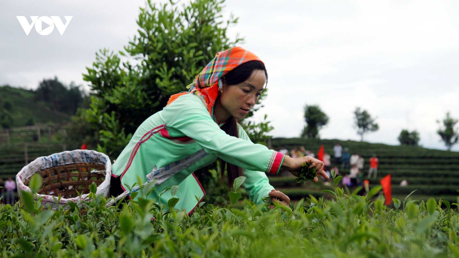 Nông dân Lai Châu muốn Chính phủ nhanh bình ổn giá phân bón