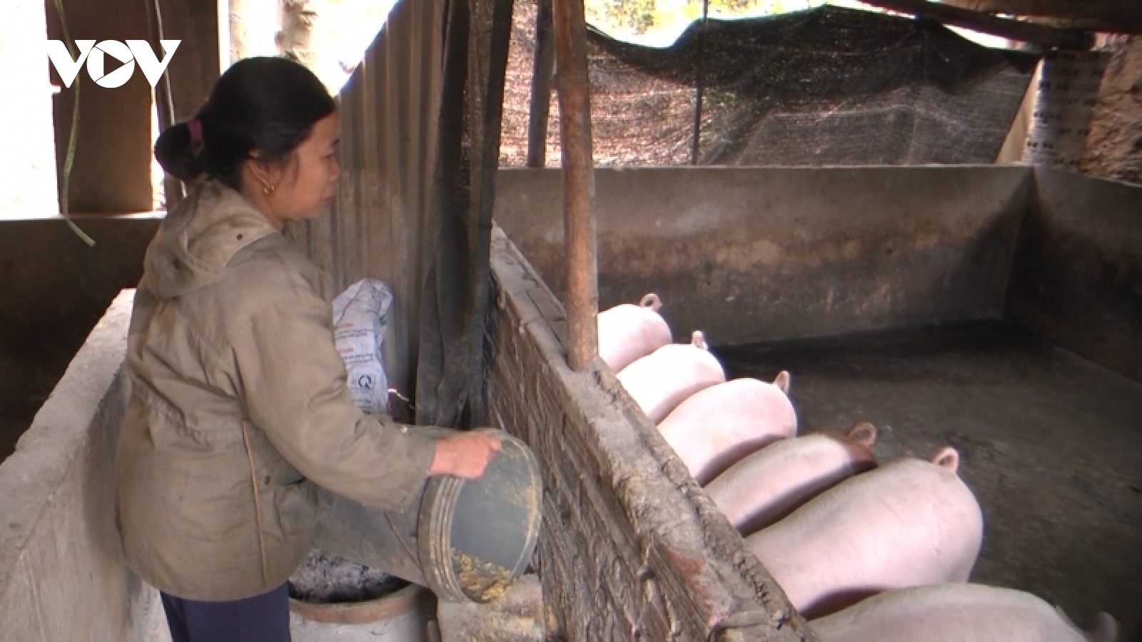 Nông dân miền núi lao đao vì mọi thứ đều tăng giá