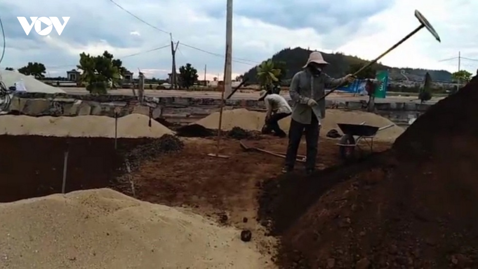 Nông dân Lý Sơn lo lắng vì thiếu cát trồng hành, tỏi