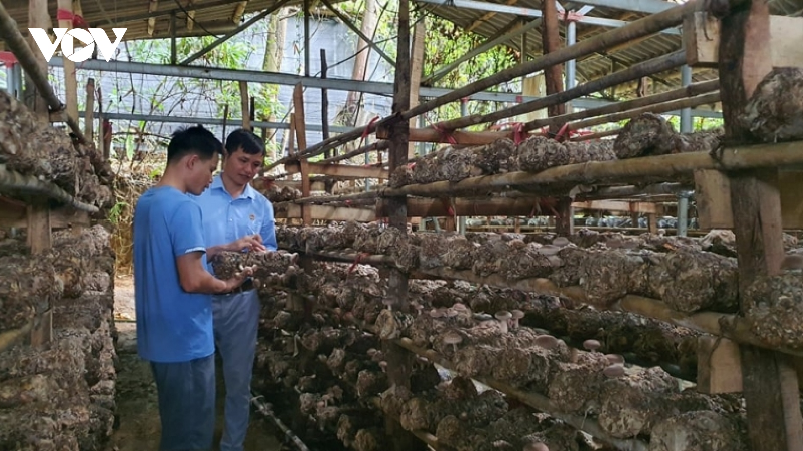 Nông dân Sơn La mong Chính phủ tạo thêm những “cú hích” để nông nghiệp phát triển bền vững