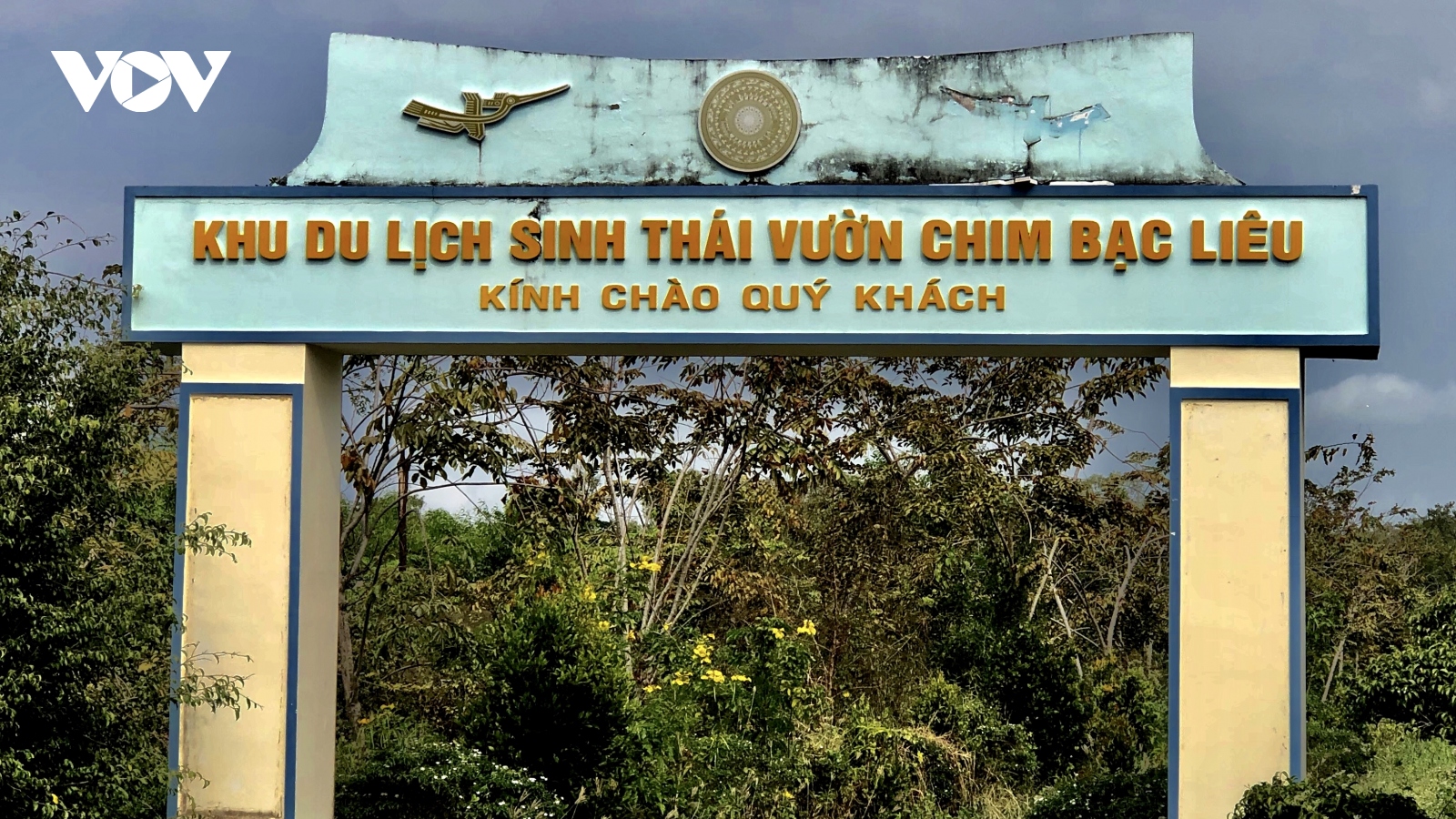 Nhiều trận mưa lớn giúp giảm nguy cơ cháy rừng tại ĐBSCL