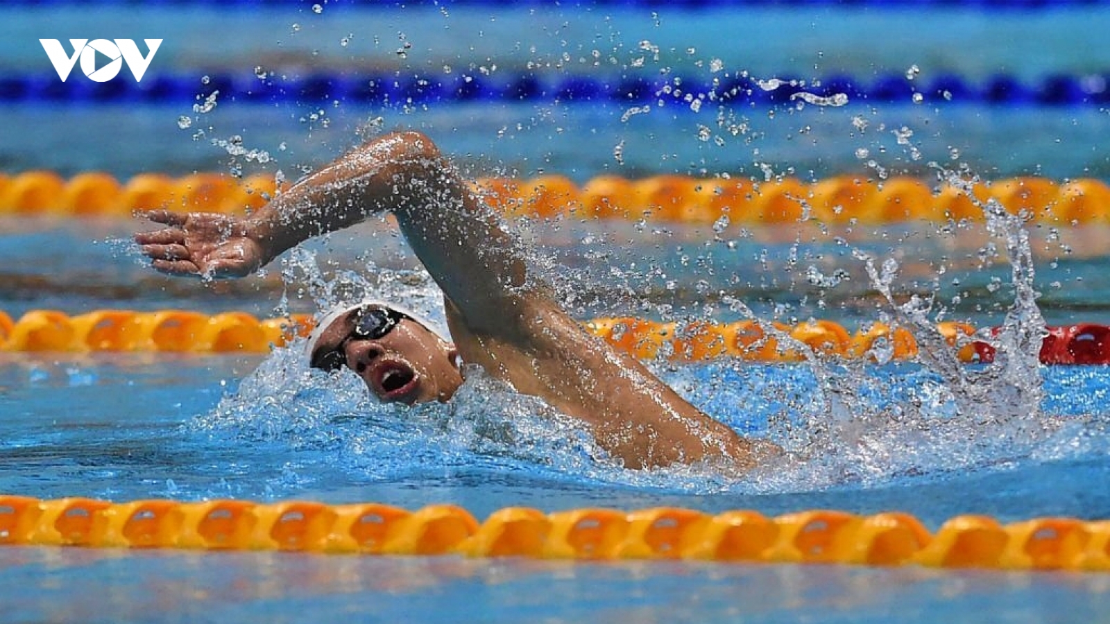 Lịch thi đấu SEA Games 31 của môn bơi: Chờ cơn mưa vàng