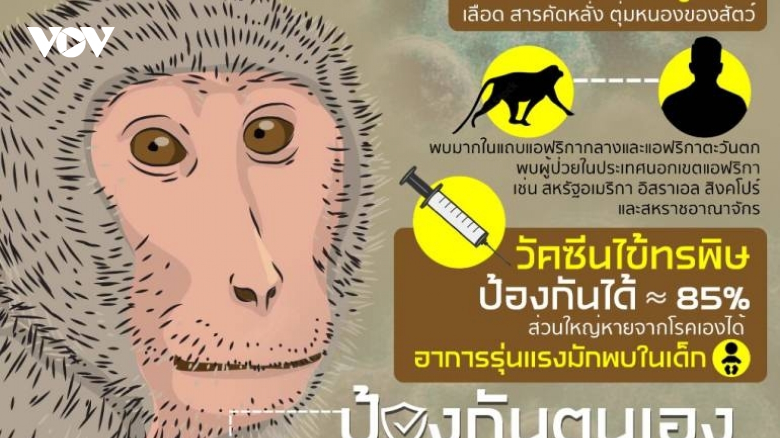 Thái Lan nâng cảnh báo bệnh đậu mùa khỉ lên mức "cần giám sát chặt chẽ"