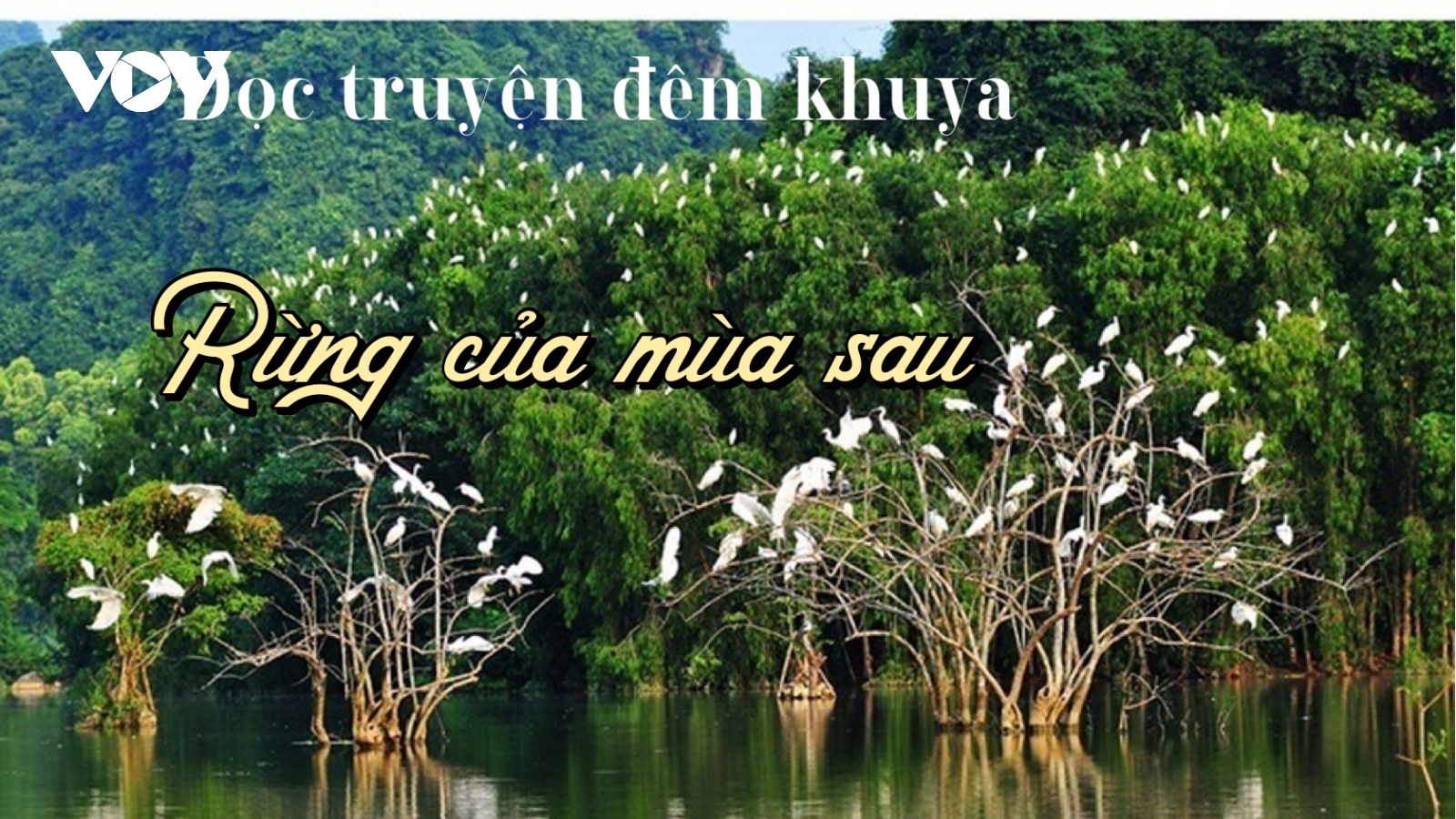 Truyện ngắn “Rừng của mùa sau” - Sức mạnh của tình yêu