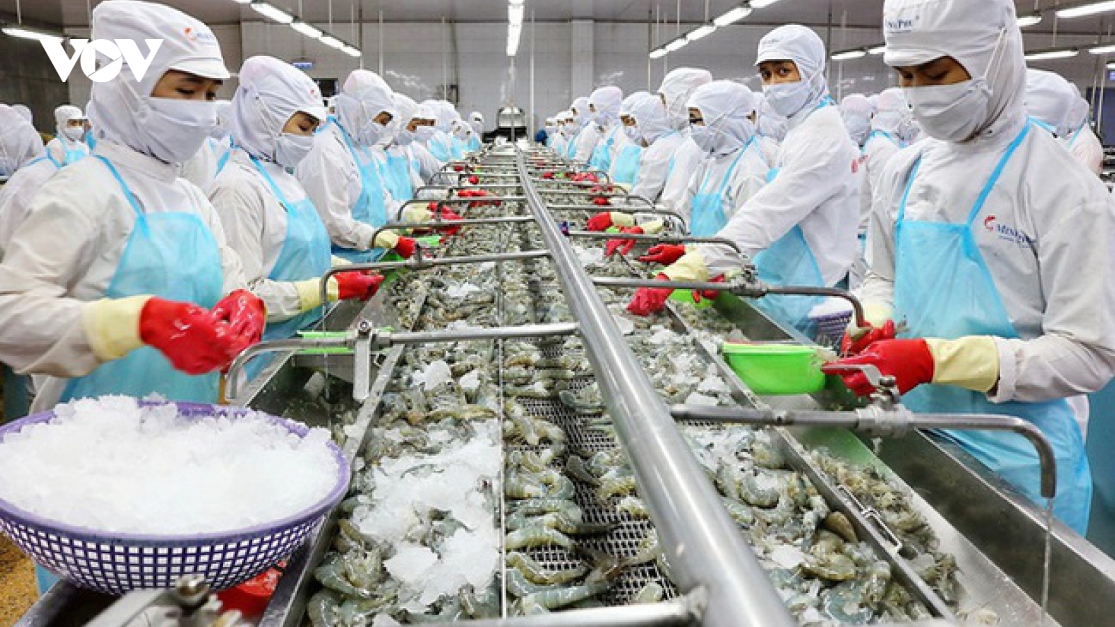 4 tháng đầu năm xuất khẩu tôm tăng đột biến