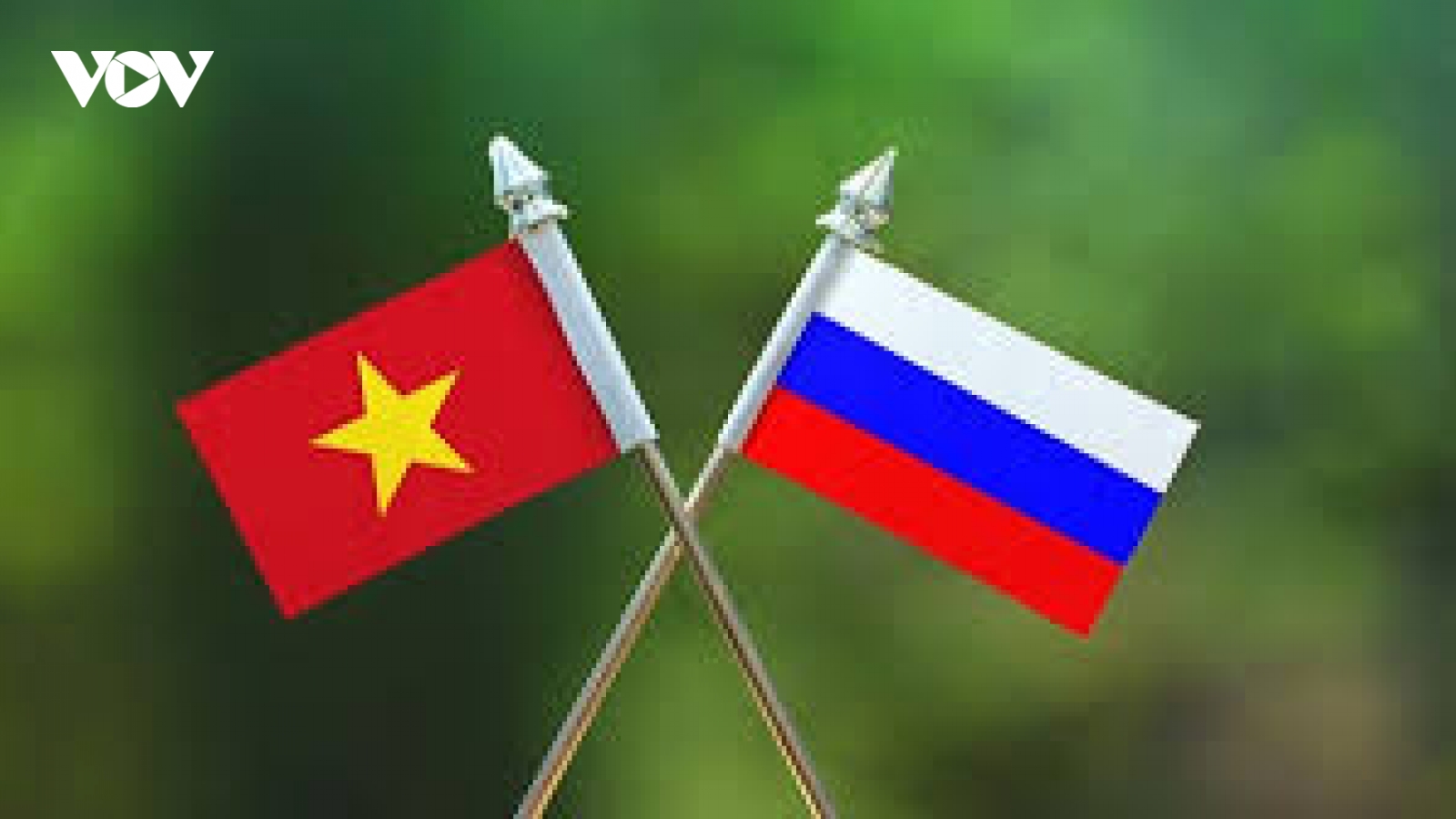 Chủ tịch nước gửi Điện mừng Quốc khánh Liên bang Nga
