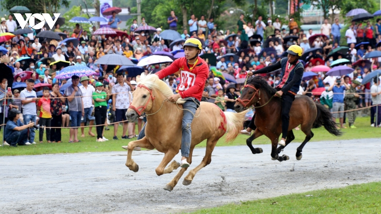 Kịch tính vòng chung kết Giải đua ngựa truyền thống Bắc Hà lần thứ XV