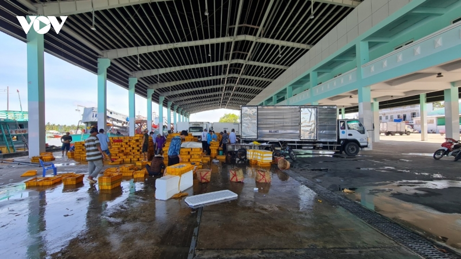 Lập chuyên án để đấu tranh bóc dỡ các đối tượng vi phạm để phòng, chống IUU