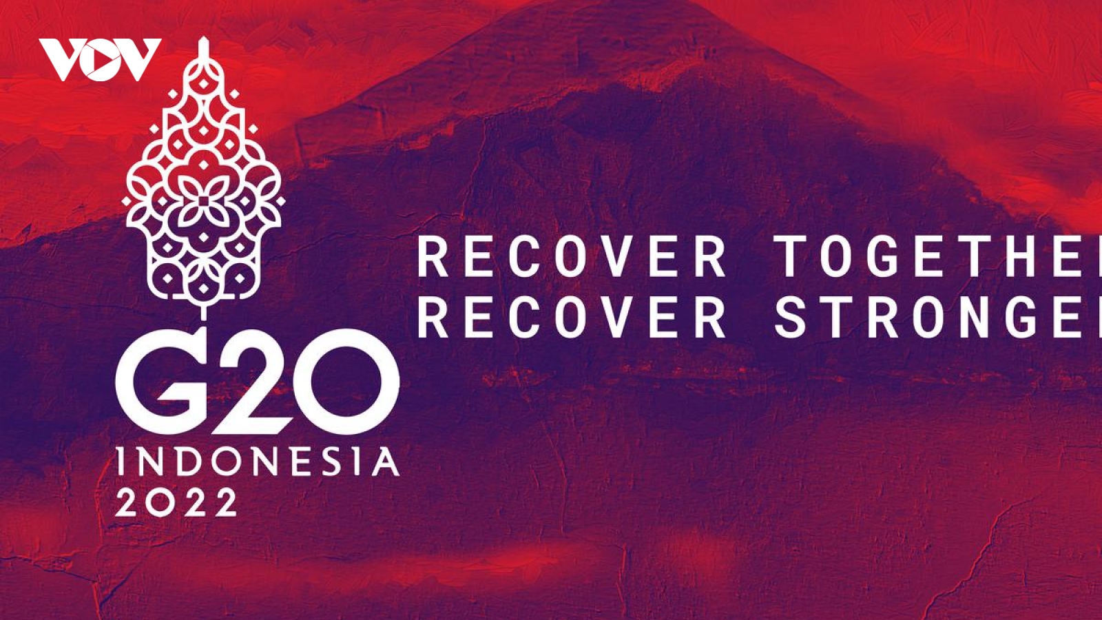 G20 tập trung vào an ninh năng lượng trong bối cảnh xung đột Nga - Ukraine