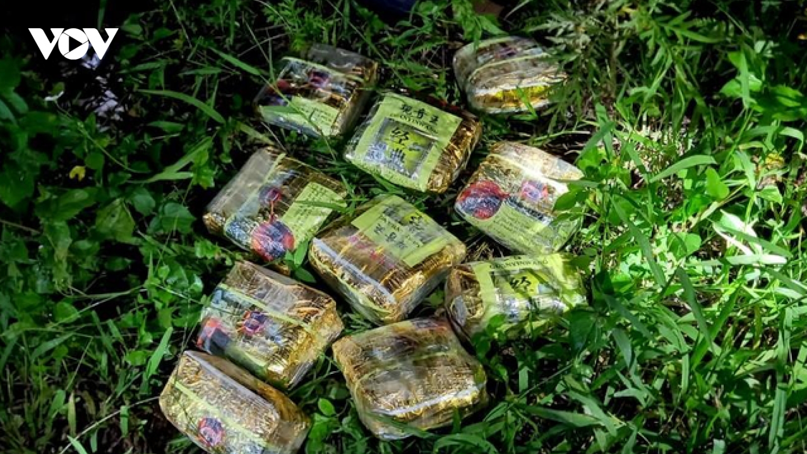 Truy bắt nhóm đối tượng vứt lại 10kg ma túy lẩn trốn vào rừng sâu