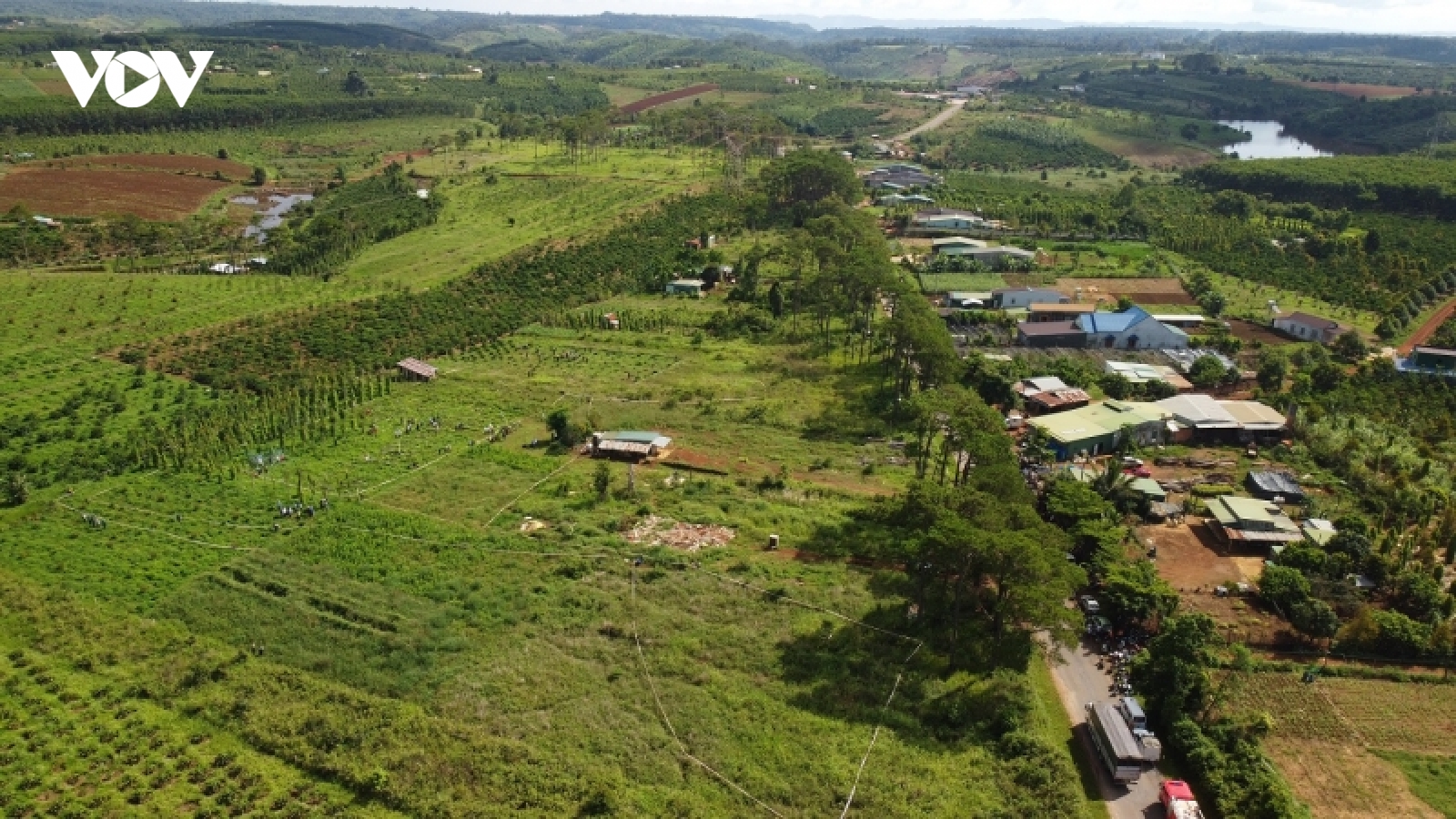 Cưỡng chế giải tỏa 35 ha đất rừng bị lấn chiếm trái phép ở Đắk Nông