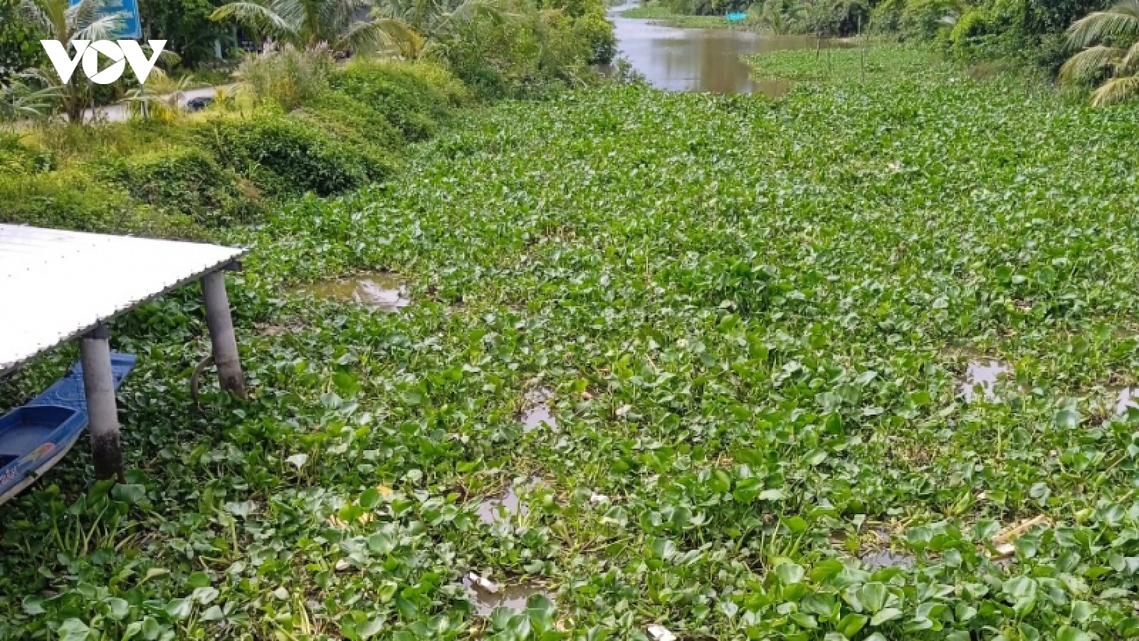 Ra sông bắt ốc, một cháu bé ở Bạc Liêu đuối nước thương tâm