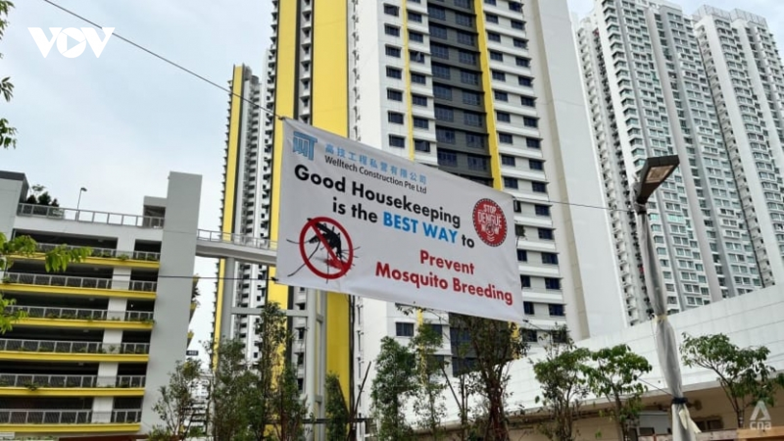 Số ca sốt xuất huyết tại Singapore dự kiến vượt mức cao kỉ lục theo tuần