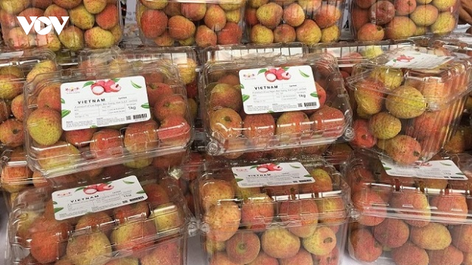 Bộ trưởng Bộ NN&PTNN: Chưa nên hào hứng khi nông sản Việt Nam lên kệ nước ngoài giá cao
