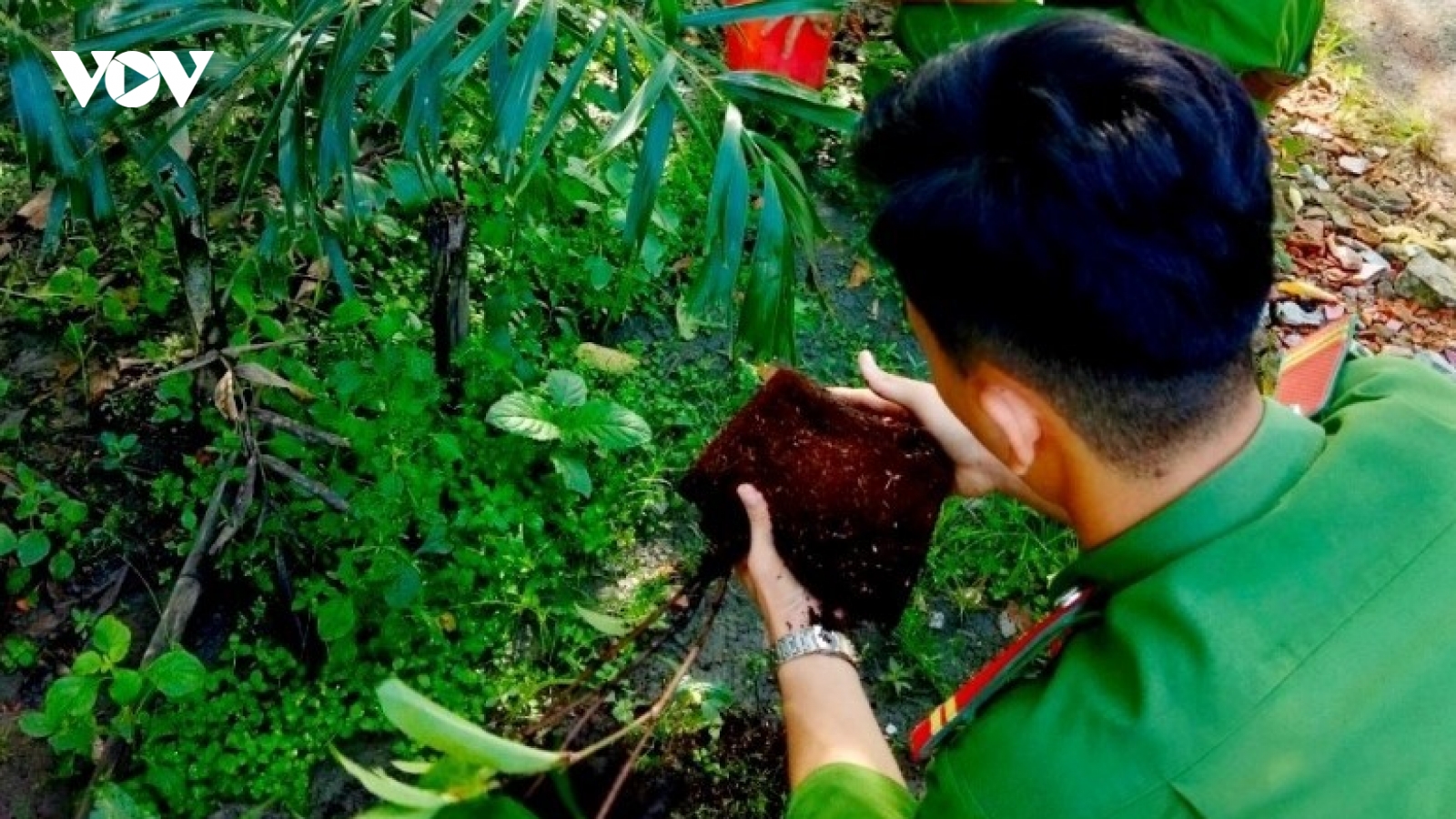 Hậu Giang tổ chức nhiều hoạt động hưởng ứng Ngày môi trường thế giới