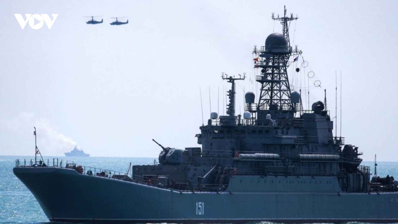 EU thảo luận phương án "giải cứu" hàng triệu tấn ngũ cốc bị mắc kẹt của Ukraine