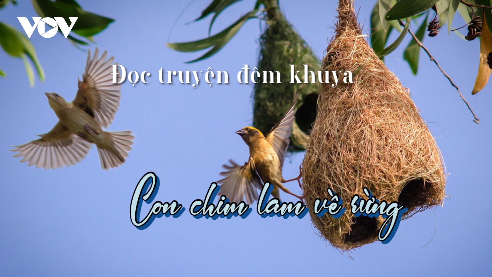 Truyện ngắn "Con chim lam về rừng" - Nỗi đau của rừng, của đời