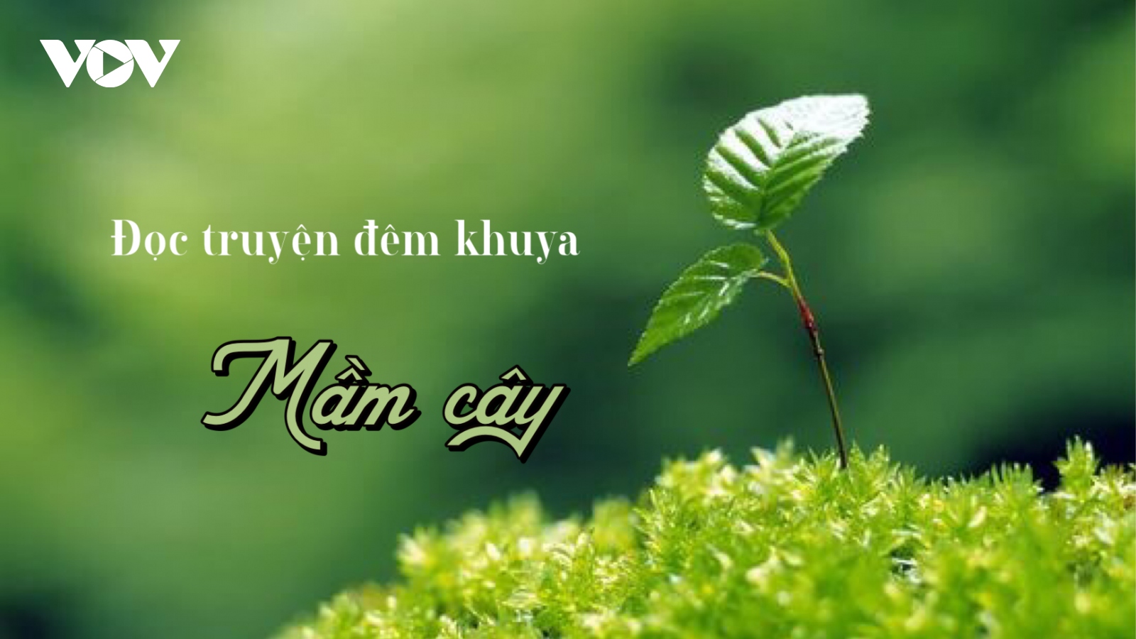 Truyện ngắn "Mầm cây" - Mầm của sự sống và niềm tin của con người